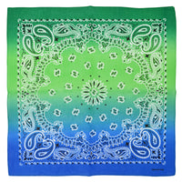 Two Tone Retro Vintage Paisley Bandana