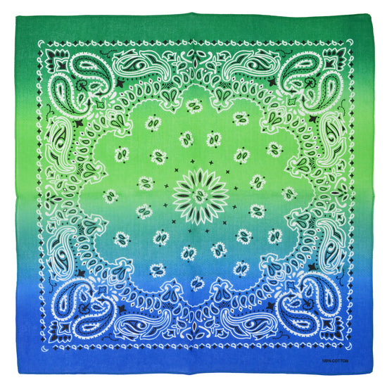 Two Tone Retro Vintage Paisley Bandana