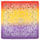 Two Tone Retro Vintage Paisley Bandana