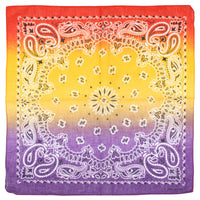 Two Tone Retro Vintage Paisley Bandana