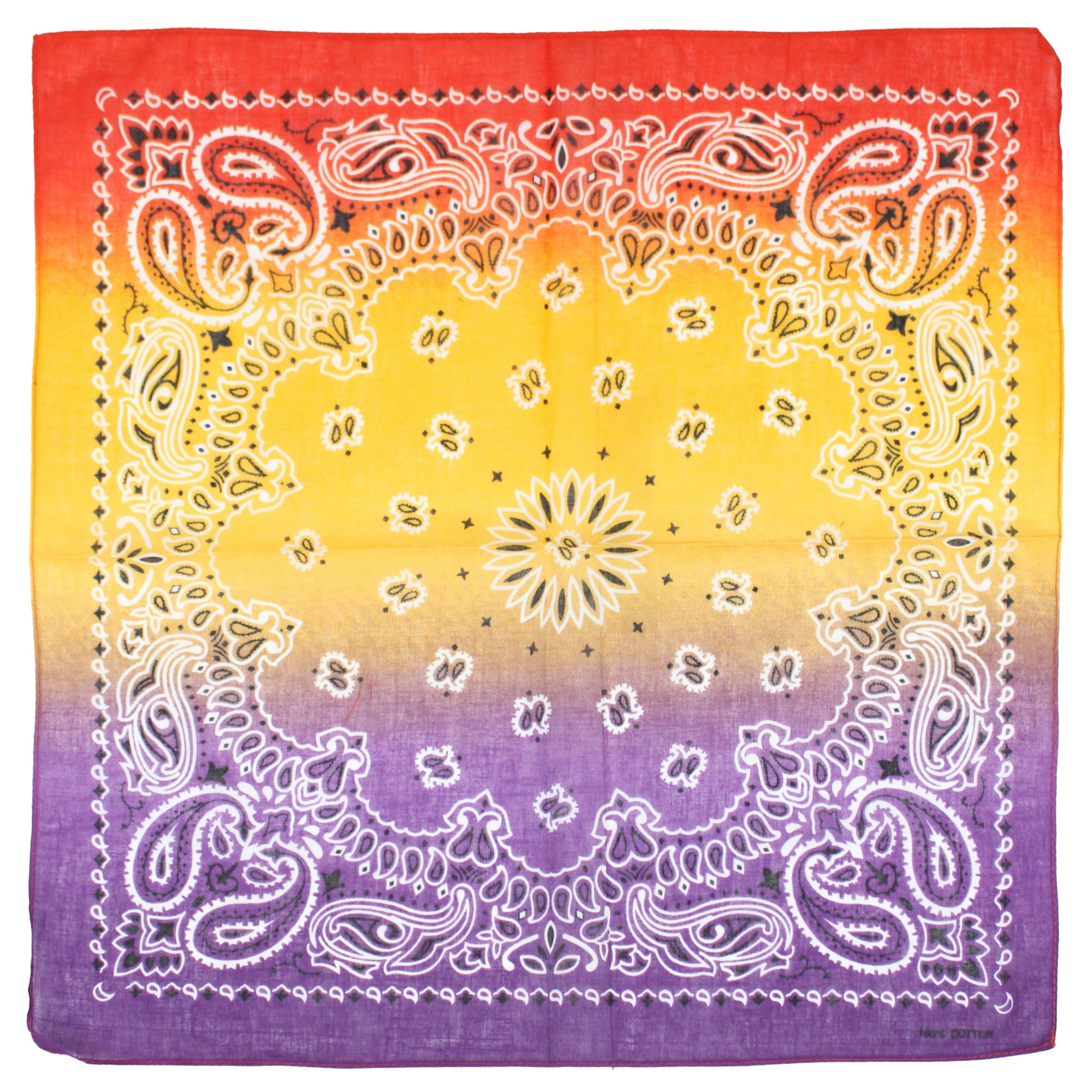 Two Tone Retro Vintage Paisley Bandana