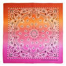 Two Tone Retro Vintage Paisley Bandana