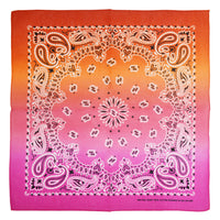 Two Tone Retro Vintage Paisley Bandana
