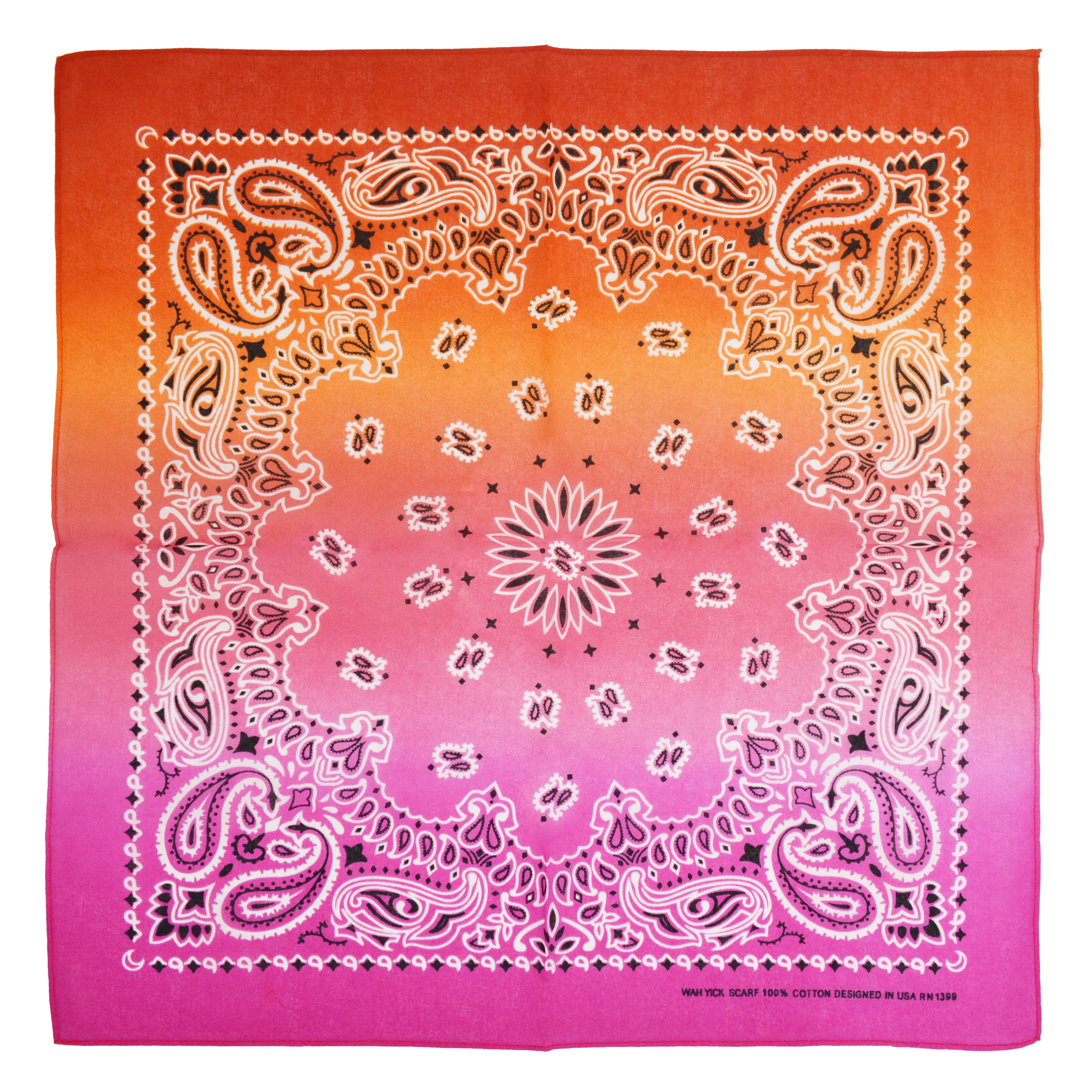 Two Tone Retro Vintage Paisley Bandana