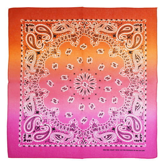 Two Tone Retro Vintage Paisley Bandana
