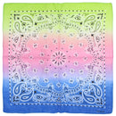 Two Tone Retro Vintage Paisley Bandana