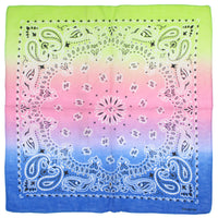 Two Tone Retro Vintage Paisley Bandana