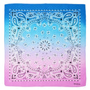 Two Tone Retro Vintage Paisley Bandana
