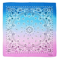 Two Tone Retro Vintage Paisley Bandana