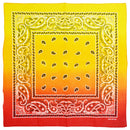 Two Tone Paisley Bandana