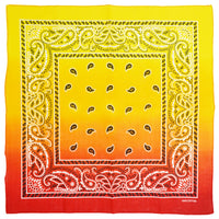 Two Tone Paisley Bandana