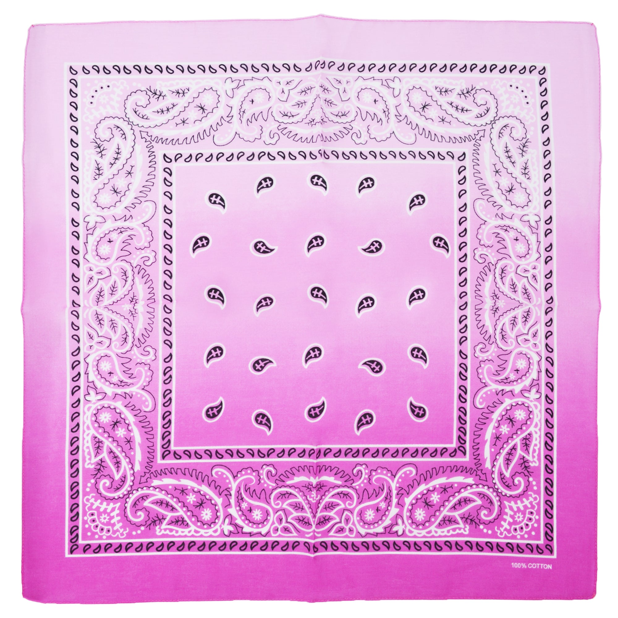 Two Tone Paisley Bandana