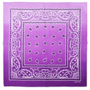 Two Tone Paisley Bandana