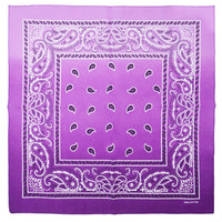 Two Tone Paisley Bandana