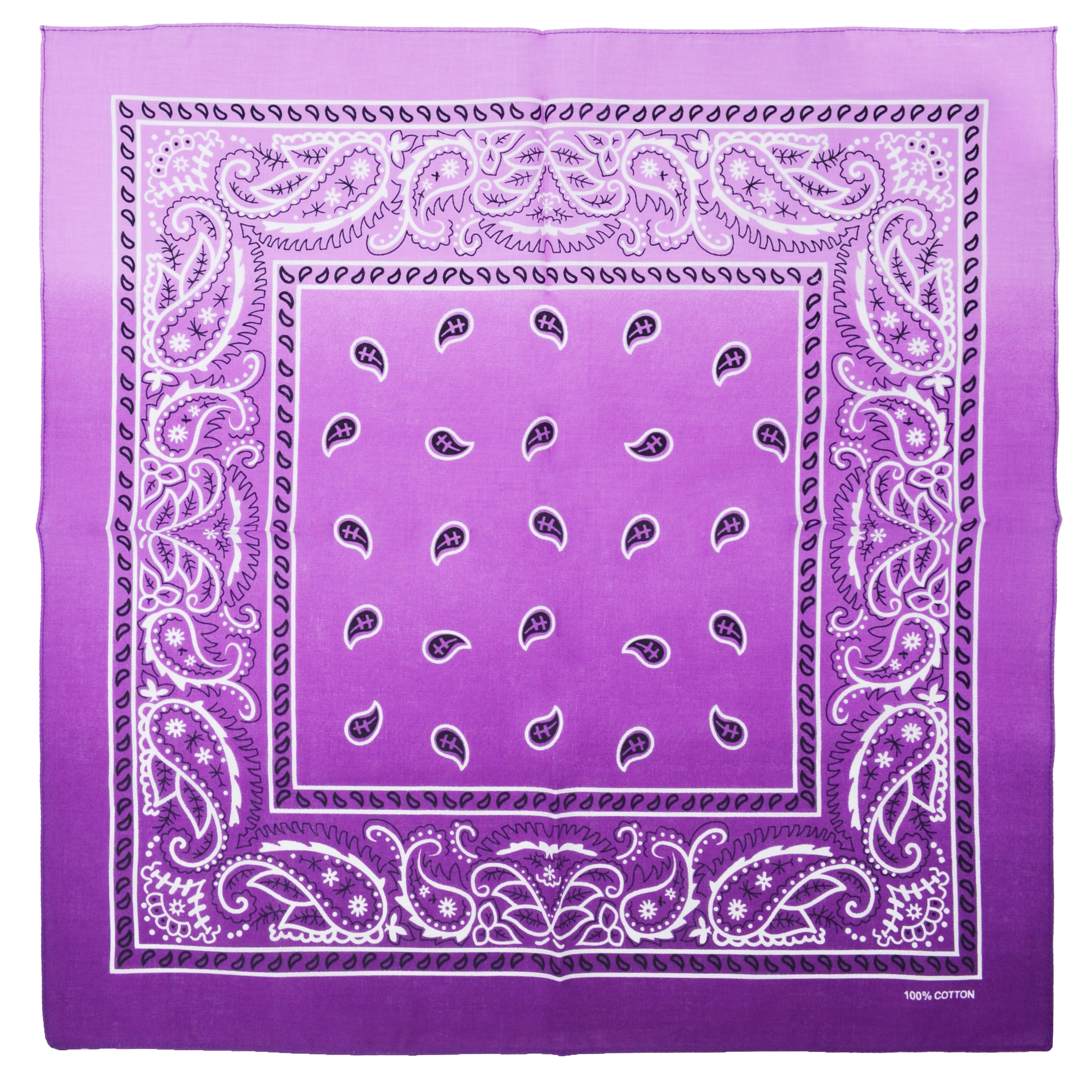 Two Tone Paisley Bandana