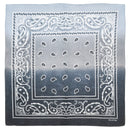 Two Tone Paisley Bandana