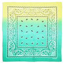 Two Tone Paisley Bandana