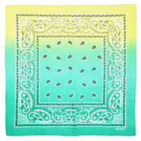 Two Tone Paisley Bandana