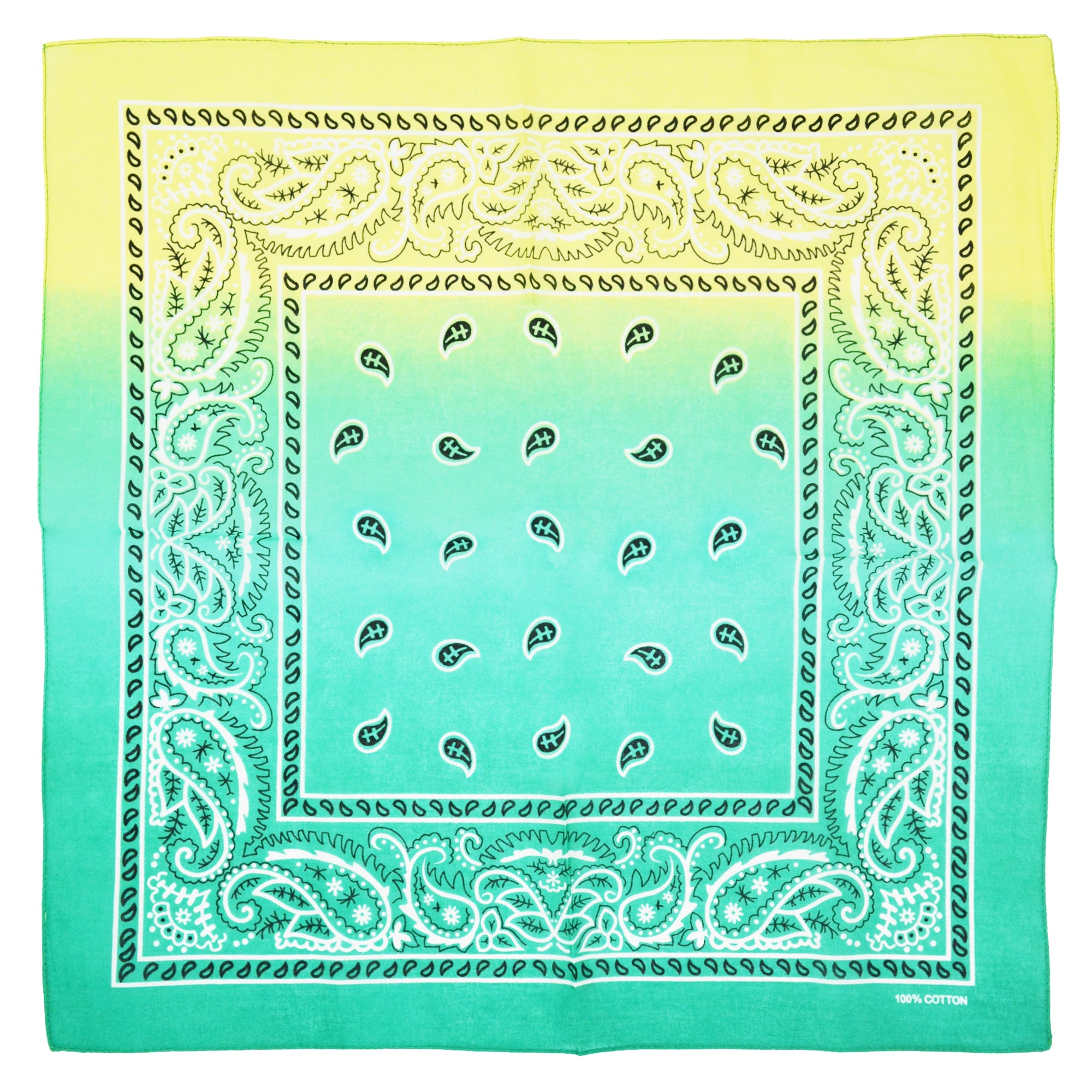 Two Tone Paisley Bandana