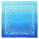 Two Tone Paisley Bandana