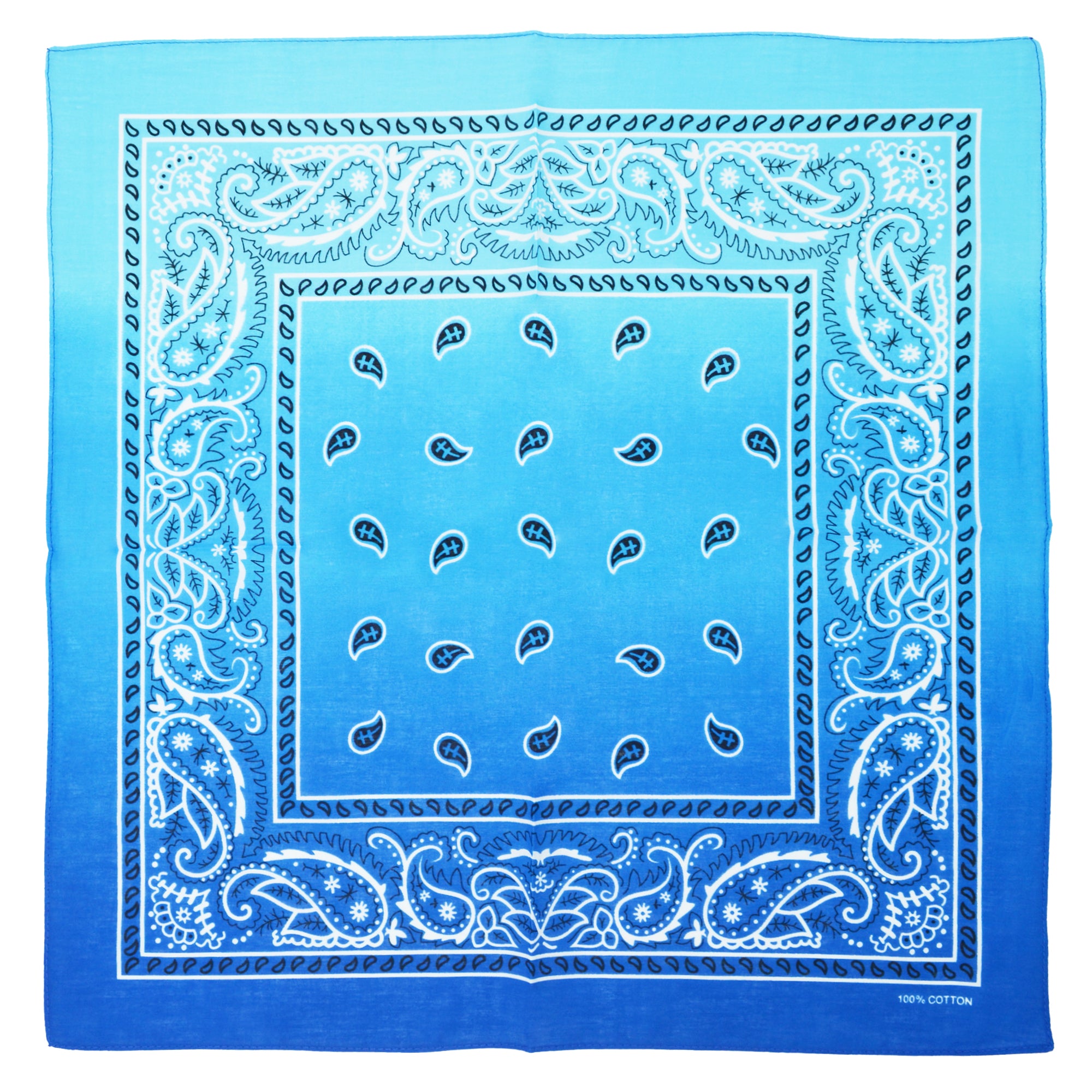 Two Tone Paisley Bandana