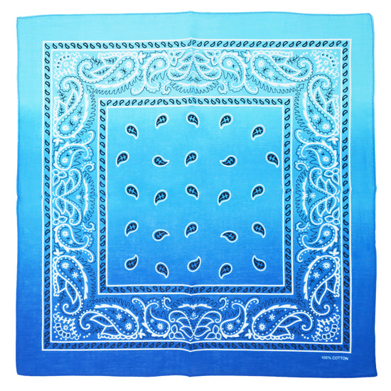 Two Tone Paisley Bandana