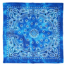 Acidwash Retro Vintage Paisley Bandana