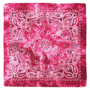 Acidwash Retro Vintage Paisley Bandana