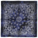 Acidwash Retro Vintage Paisley Bandana