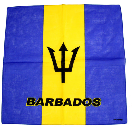 Barbados Flag Bandana