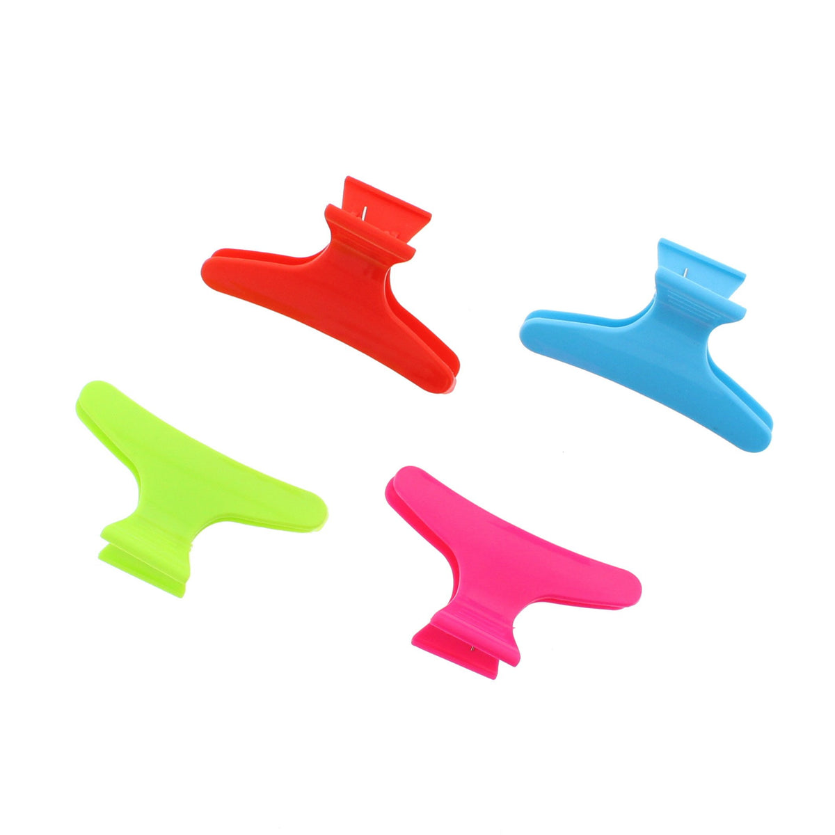 12 / Brights