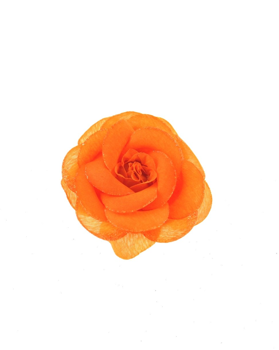 12 / Orange