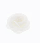 Glitter Roses on Concord Clip & Brooch Hair Pin