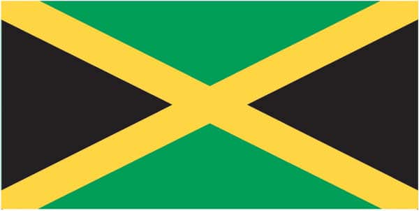 ZFLAG003