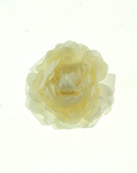 Begonia Flower on Concord Clip & Brooch Hair Pin