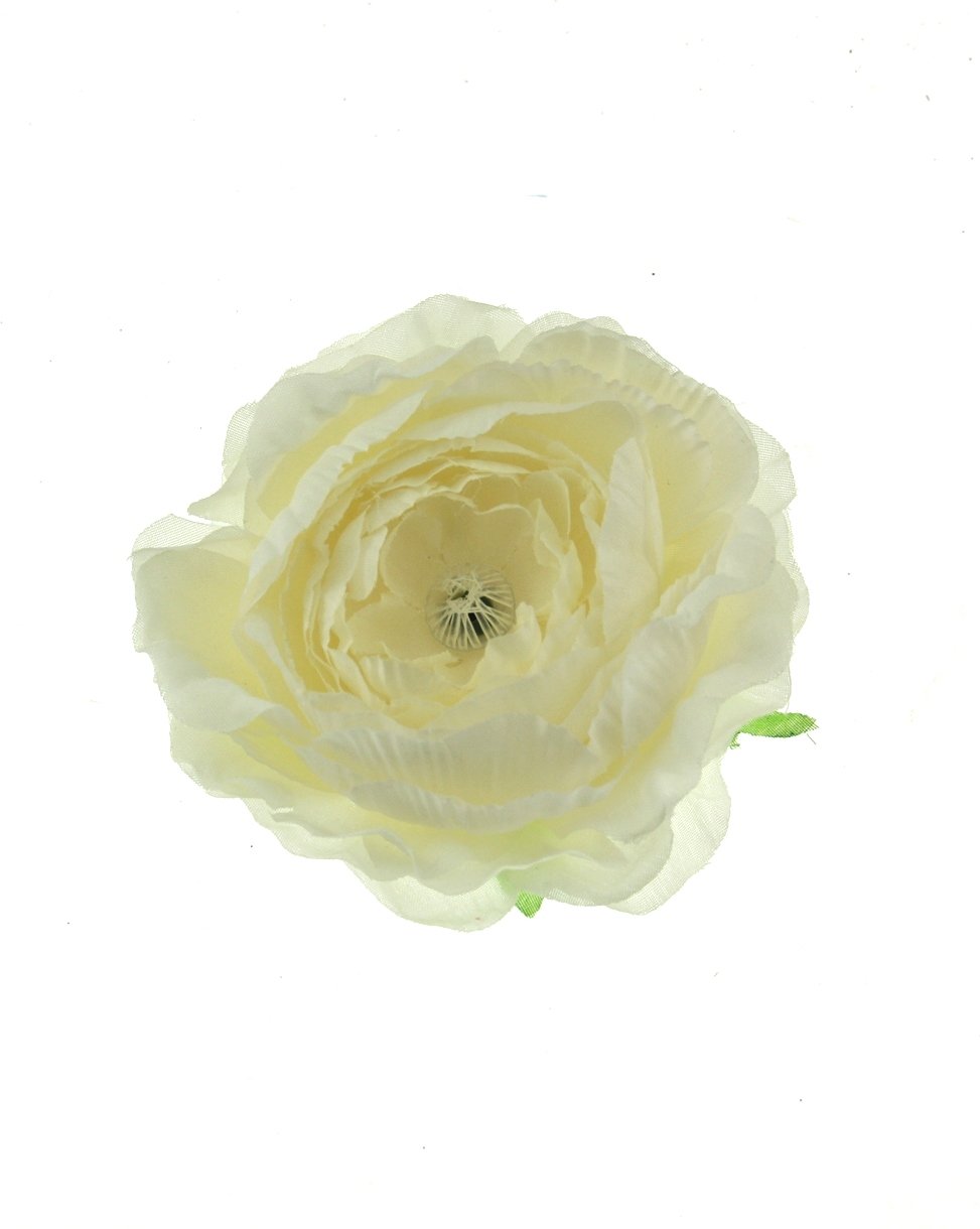 3 / Cream