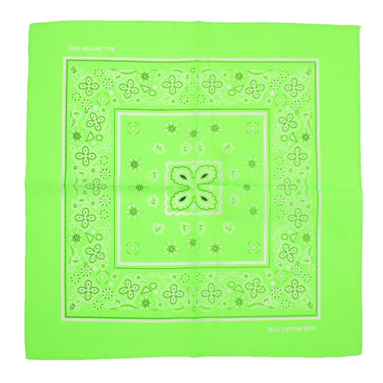 Neon Floral & Paisley Print Bandana