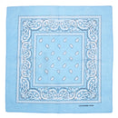 Paisley Print Bandana
