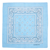 Paisley Print Bandana