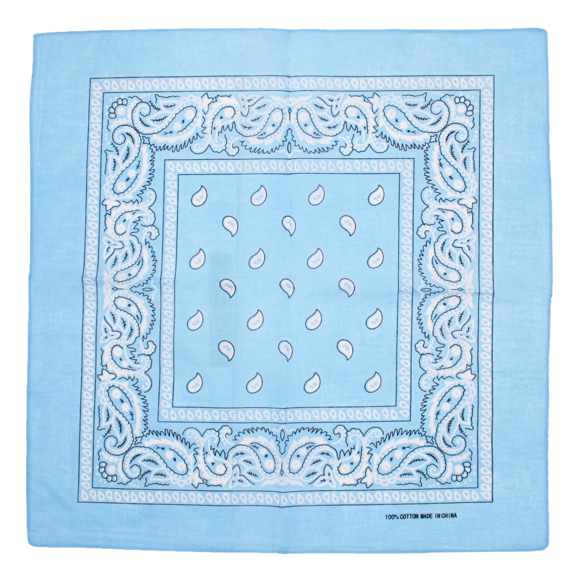 Paisley Print Bandana