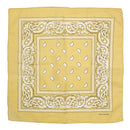 Paisley Print Bandana