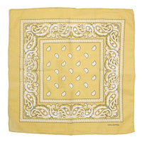 Paisley Print Bandana