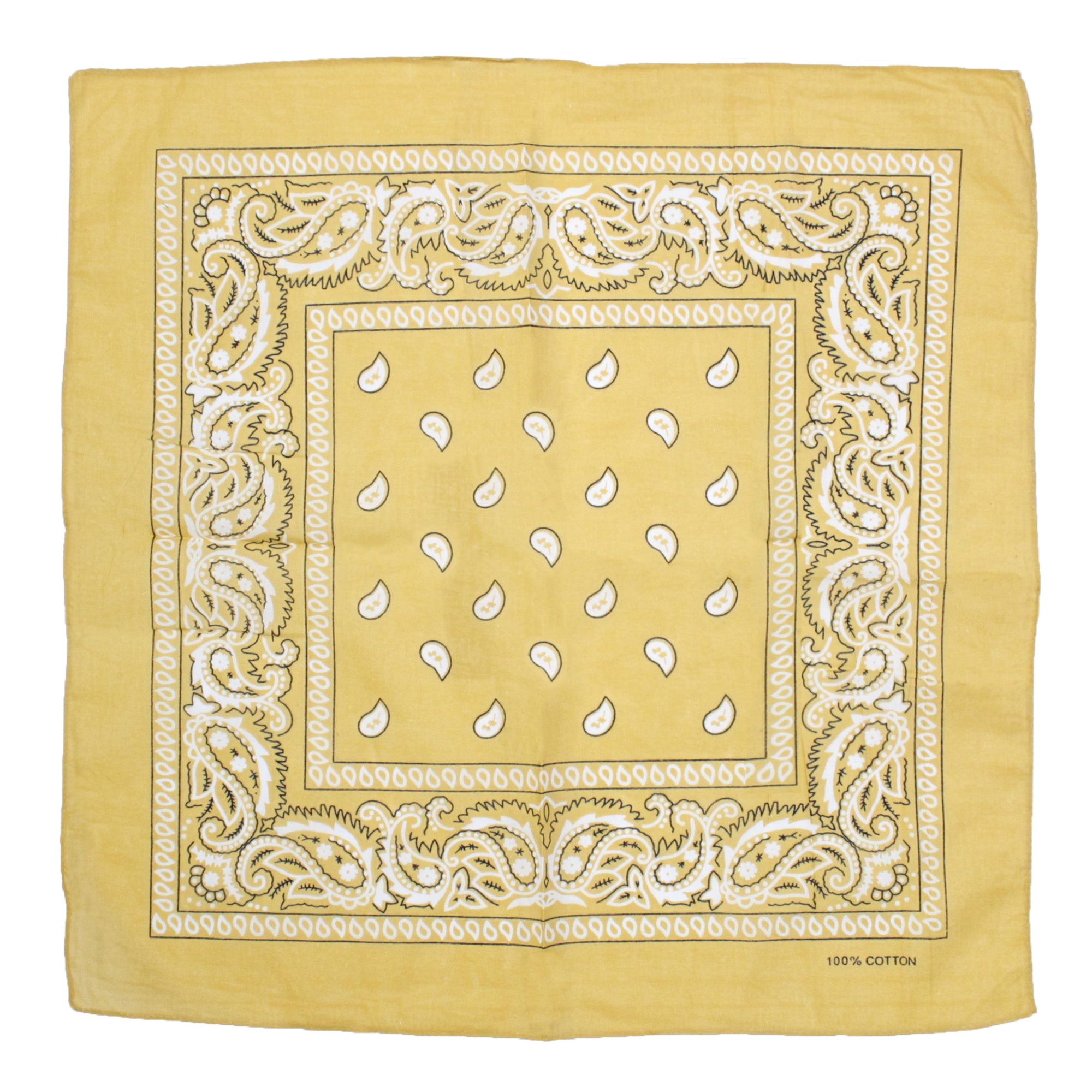 Paisley Print Bandana