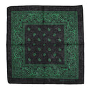 Paisley Print Bandana
