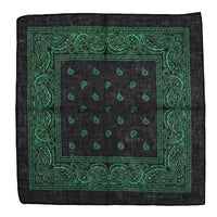 Paisley Print Bandana