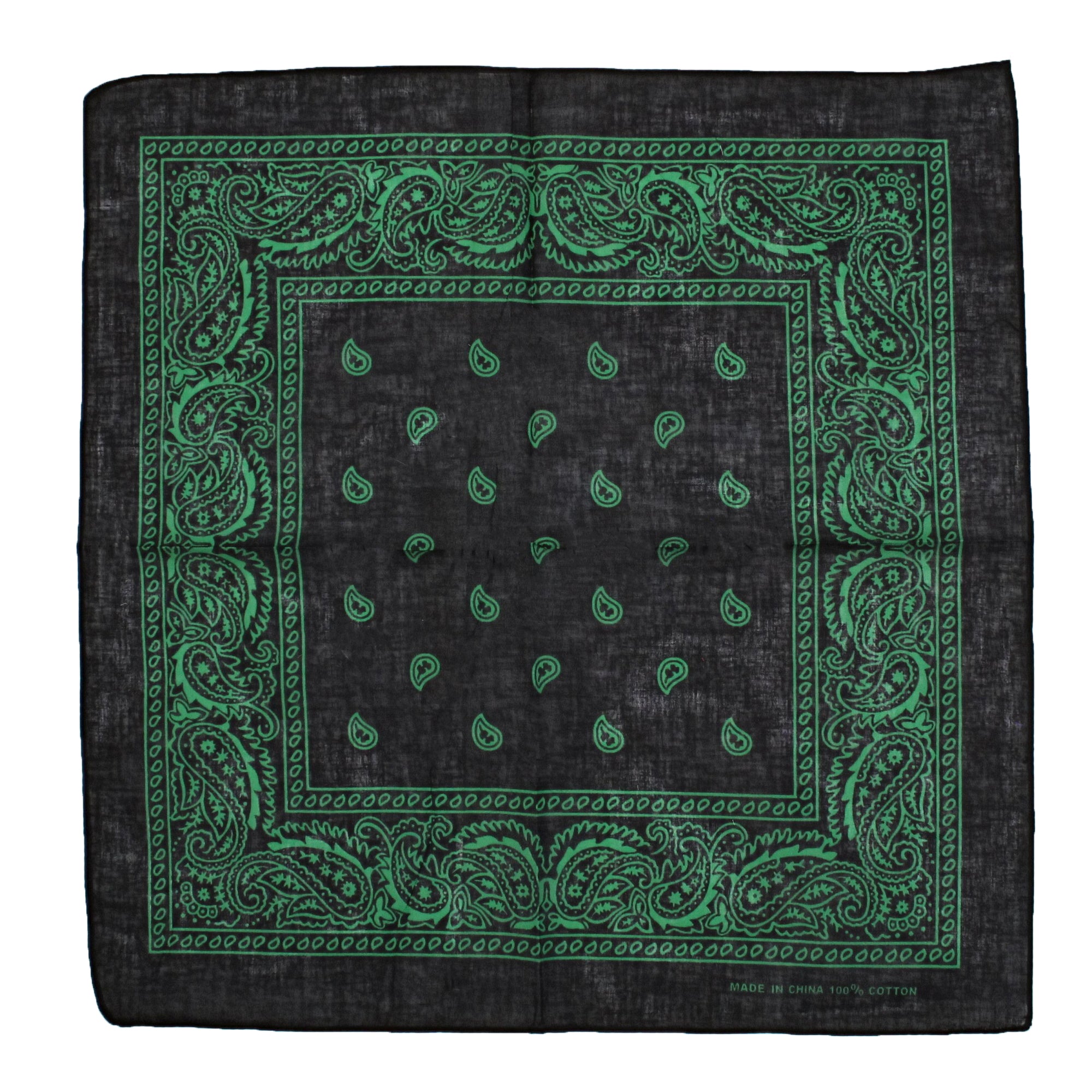 Paisley Print Bandana