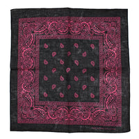 Paisley Print Bandana