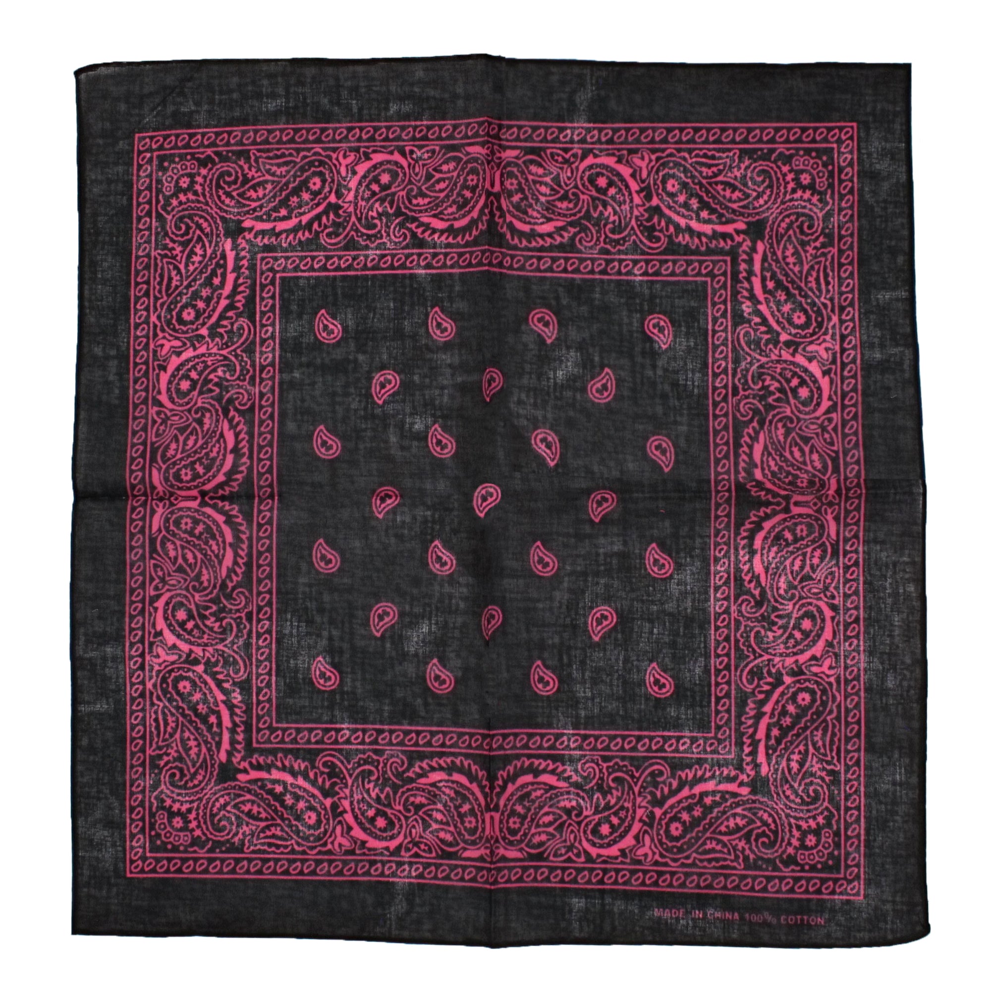 Paisley Print Bandana