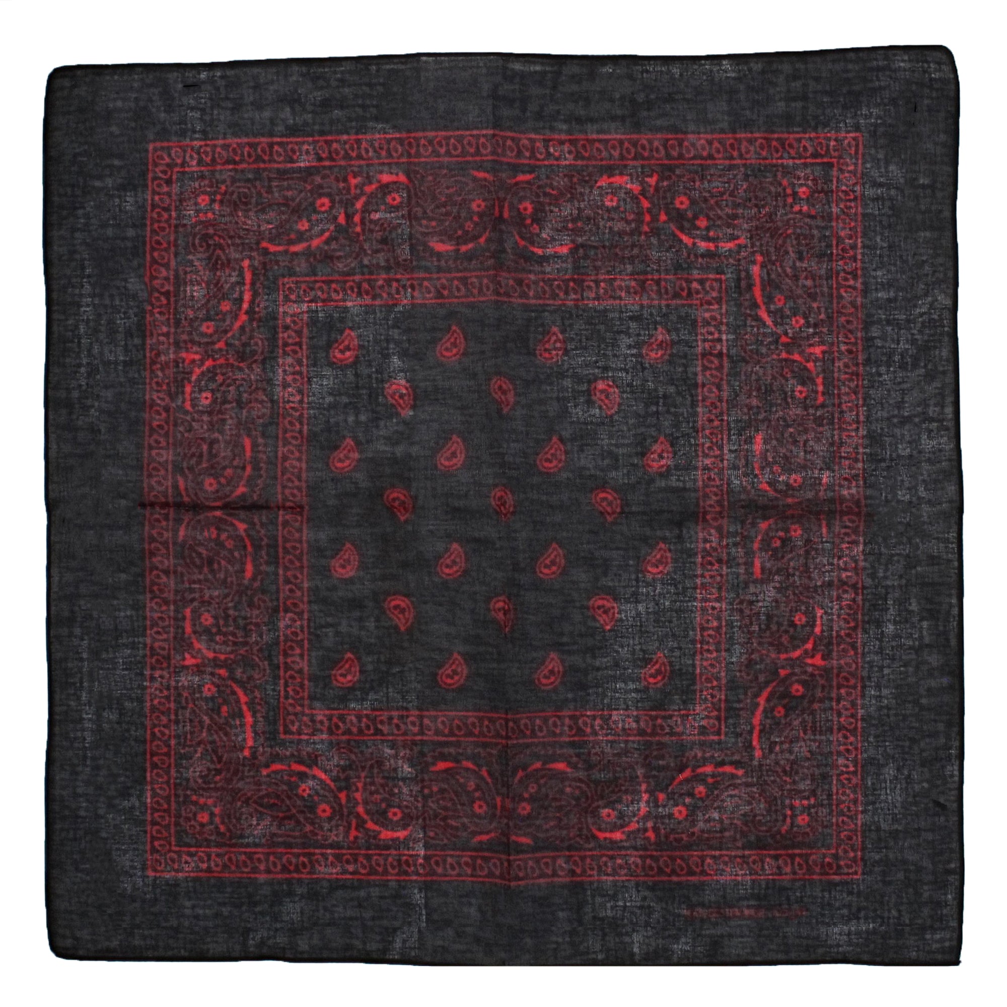 Paisley Print Bandana