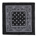 Paisley Print Bandana